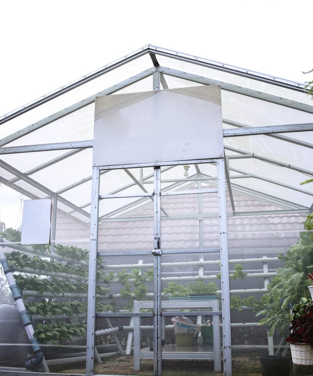 greenhouse-2023-11-27-05-22-29-utc