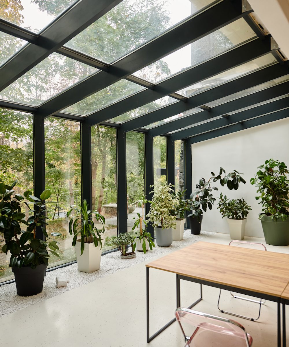interior photo of contemporary empty meeting room with office table and green plants in pots