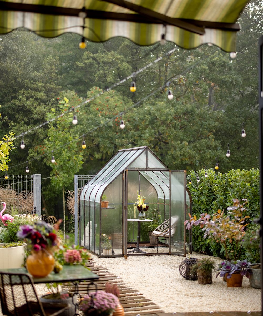 Morning view on backyard with beautiful vintage greenhouse in foggy weather. Tiny and cozy garden near forest